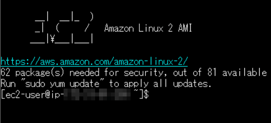 Amazon Linuxに対してSSH接続した後に出てくるログインメッセージの例